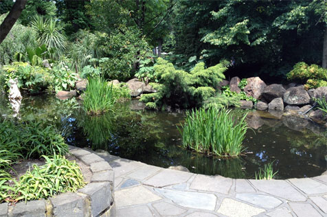 View across pond, Fitzroy Gardens.