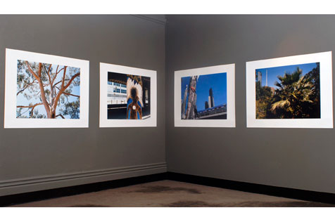 Corner of the gallery featuring four photographs.