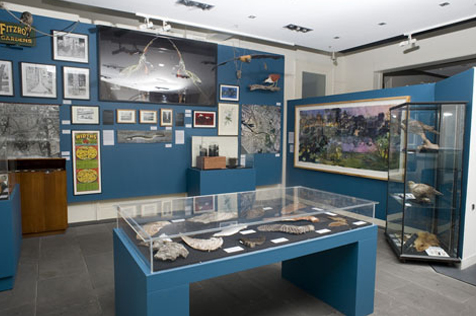 Exhibition installation; pictures on a blue wall and two glass display cabinets