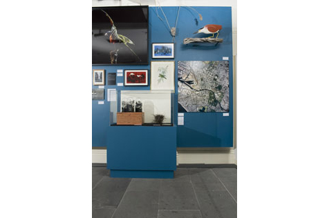 Exhibition installation; pictures on a blue wall and glass display cabinet
