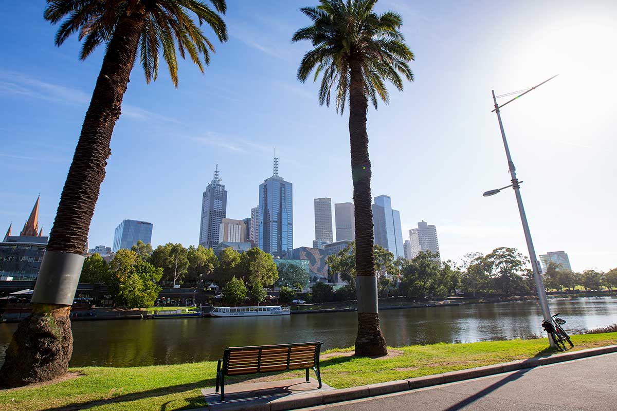 View from Alexandra Gardens towards the CBD, next to the Yarra River. In the foreground is a park bench, between two palm trees and on a narrow strip of grass alongside the river.