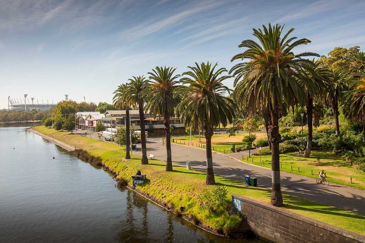 Elevated view of Alexandra Gardens from a bridge showing a row of five palm trees next to the Yarra River, with the historic boatsheds in the middle distance and sports stadium in the background.
