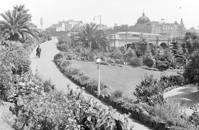 Black and white photo showing a path edged by plants and surrounding lawns, shrubs and palm trees. A man is walking on the path; Princes Bridge and Flinders Street Station can be seen in the background.