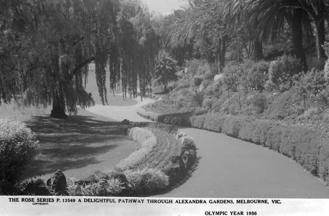 Black and white photo showing a winding path edged by plants with lawn and trees alongside. Caption reads: 'The Rose Series P.13549 - A delightful pathway through Alexandra Gardens, Melbourne VIC. Olympic Year 1956'
