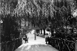 Old image of Fitzroy Gardens