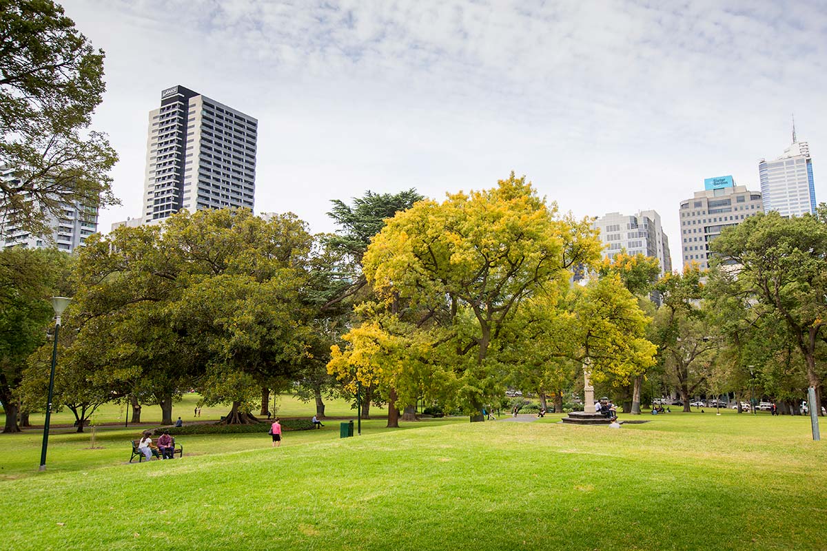 Open grassed areas and trees on the hilltop in Flagstaff Gardens.