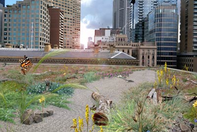 Artist's impression of a city building's rooftop landscaped with a pathway, grasses and other features