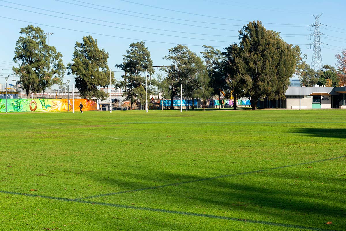 Open area of a grassed sports ground