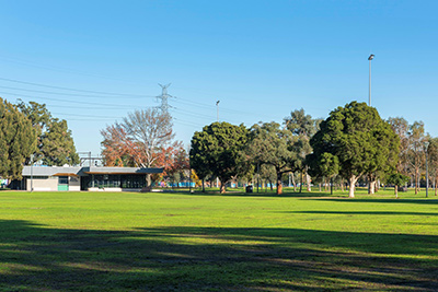 JJ Holland Park Oval