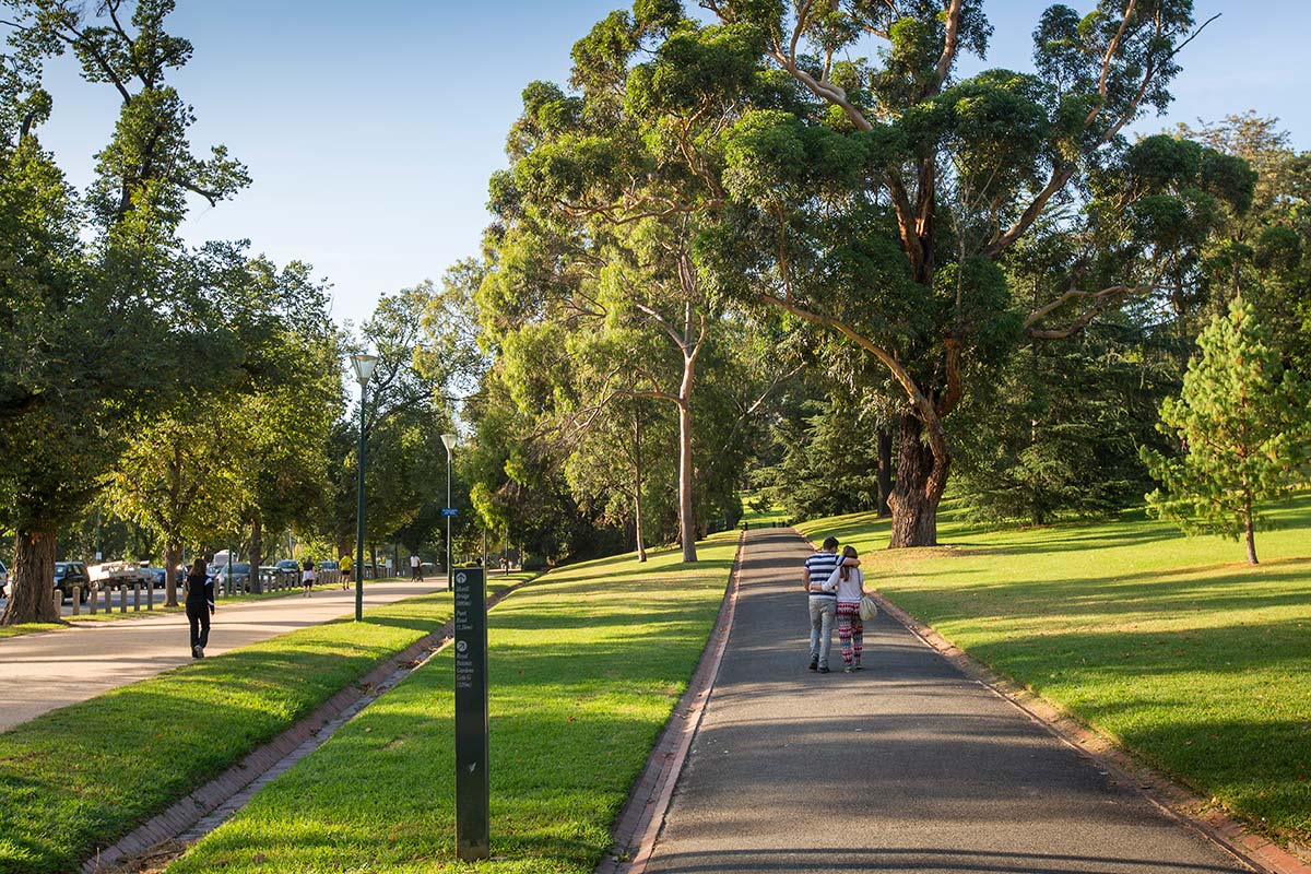 People walking on a straight footpath in an area of Kings Domain with grass and trees alongside and a nearby carpark.
