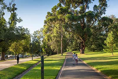 A straight walking path in Kings Domain