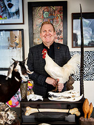 Mark Boldiston holding a taxidermy white rooster and standing among framed artworks, animal bones and other artefacts. 
