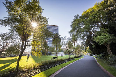 Path in city park, with tall building in background