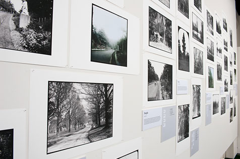 Black and white photographs on a white wall