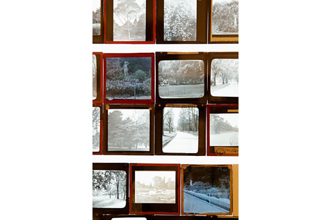 Framed images on glass slides