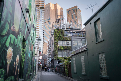 City laneway with green growth on walls