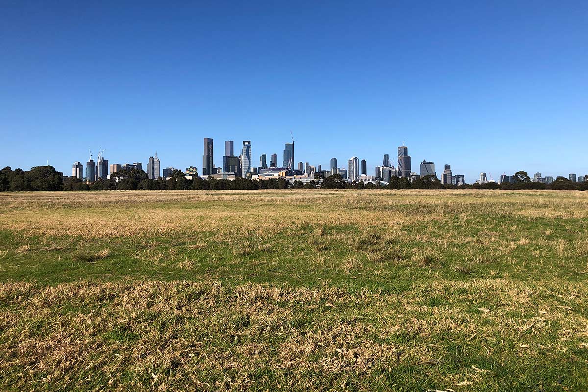 Expansive open area of short green and yellowed grass, looking across to a view of  Melbourne city skyline.