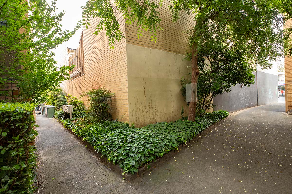 An area of the apartment complex with several trees, hedges and overgrown, uniform leafy groundcover on the verge around the corner of a building.