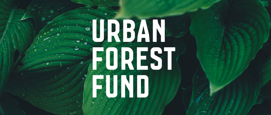 Green foliage with the words Urban Forest Fund in white.