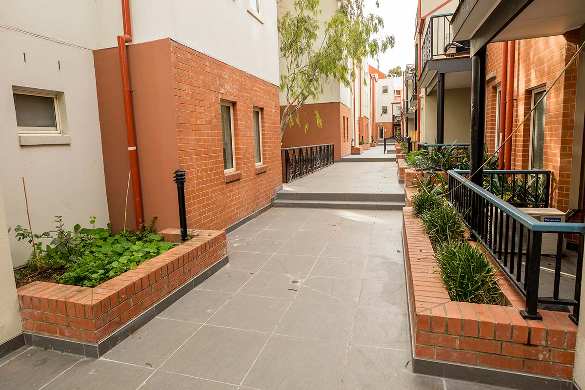 The paved common area running between the apartments had a mid-sized gum tree, and several small planter boxes on either side containing pruned strap-leafed plants and groundcovers.