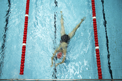 an adult swimming