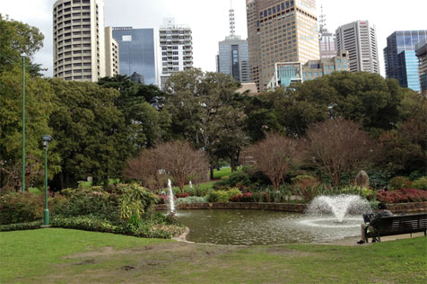 Fountain in the lake, with city view.