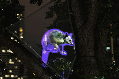 Projection of possum with glowing purple outline onto tree at night
