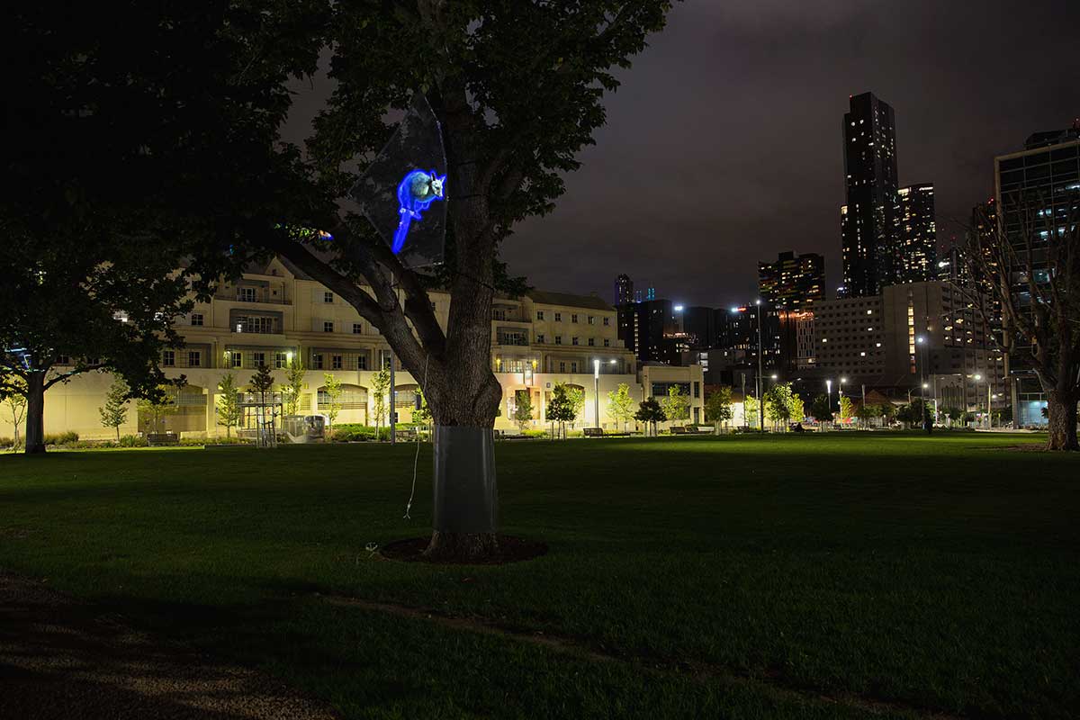 Wide view of the digital projection of a possum, lit brightly in blue, in a tree at night-time. Small apartment buildings and high-rises can be seen in the background.