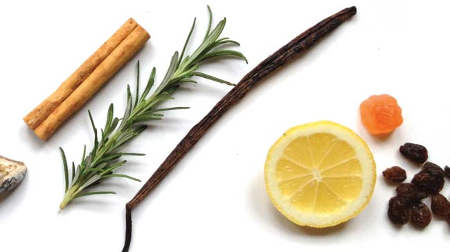An arrangement of aromatic items including cinnamon sticks, a rosemary stalk, vanilla bean, slice of lemon and raisins