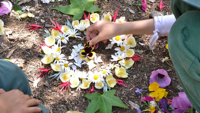 A person arranging flower heards and leaves in a circular patterm on the ground outdoors