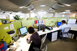 People working at their desks in an open plan office