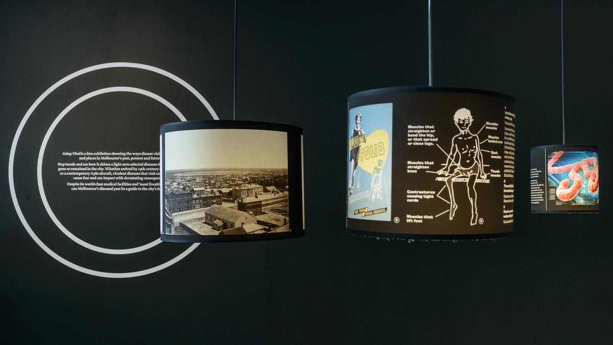 Three exhibits presented on suspended light shades: black and white photo of city; diagrams of human body muscles and organs