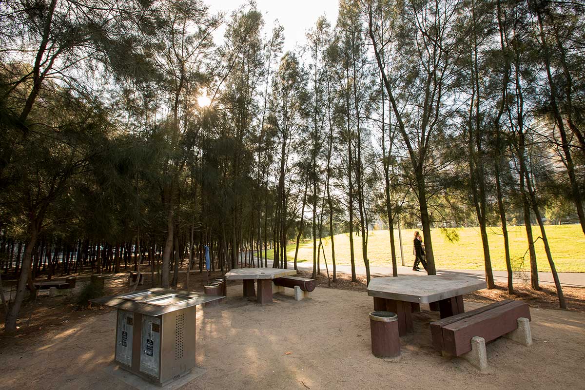 A picnic area enclosed by small trees, with tables, seats and barbecue.