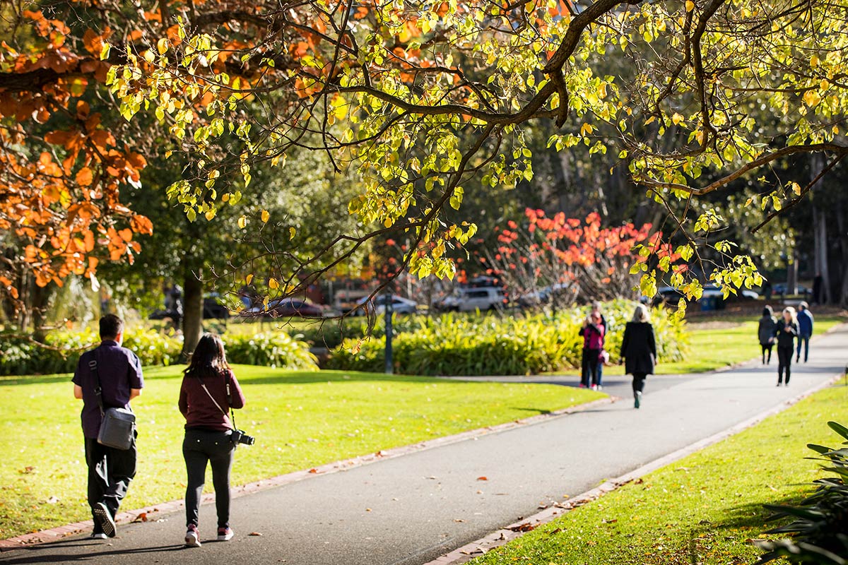 People walking across a footpath in the gardens. There are open grassed areas next to the path, ornamental garden beds nearby and autumn leaves on the trees overhead.