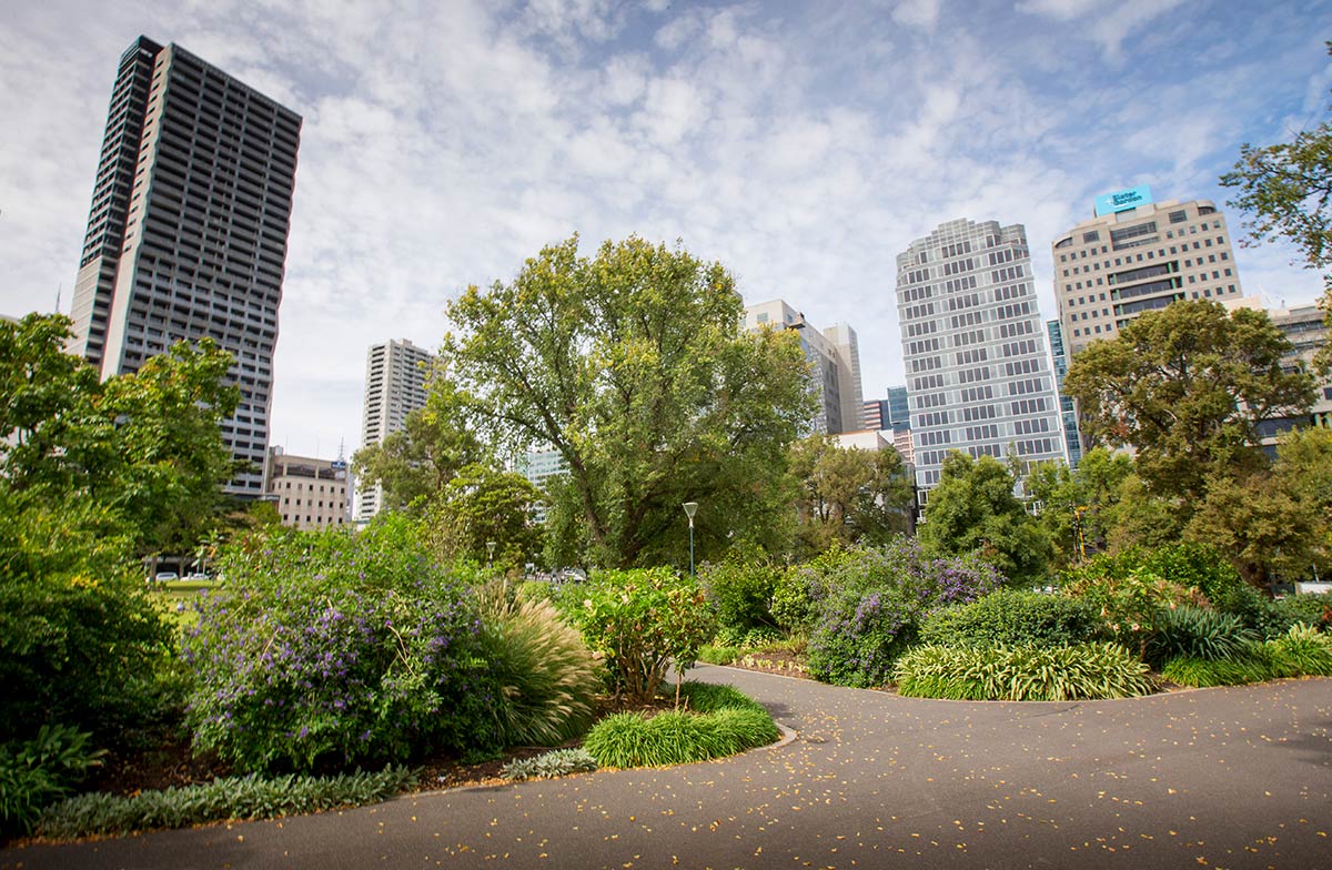 Floral shrub beds next to paths in Flagstaff Gardens. Large CBD buildings surround the gardens.