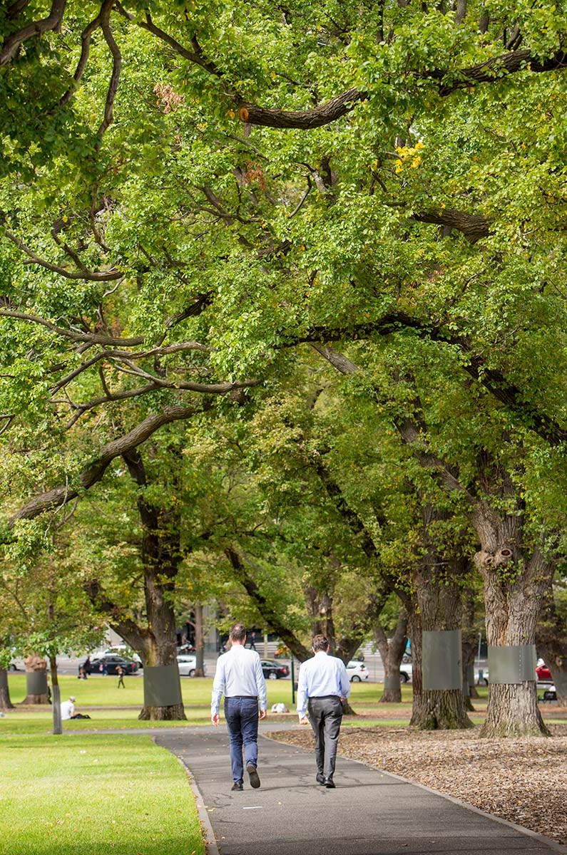 City workers walking along a footpath under mature trees in Flagstaff Gardens.