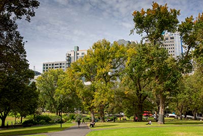 Open grassed area and large trees in Flagstaff Gardens.