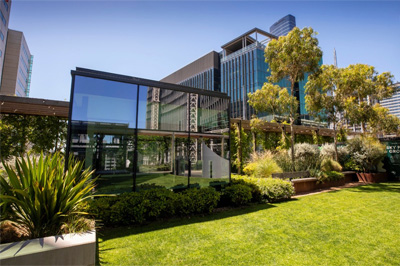 A modern city building rooftop with large square windows and garden beds with shrubs, grasses and gum trees. 