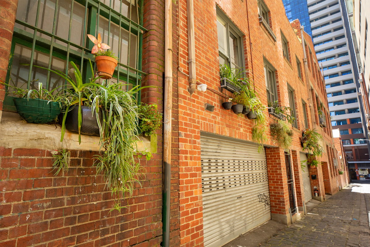 A city laneway with pot plants fixed to the exterior walls of a red brick building.