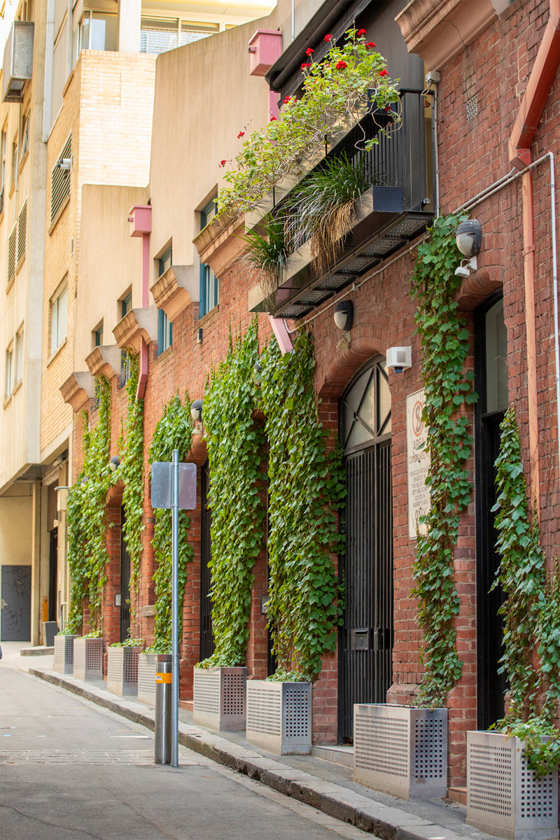 A city laneway with creeping vines growing around the arched entranceways of an industrial building.