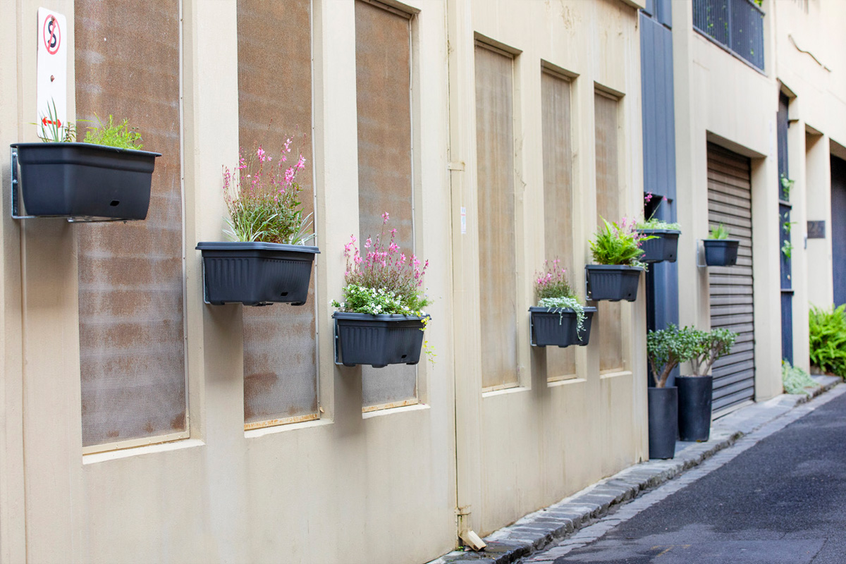 Mounted pot plants filled with ferns, grasses and small flowers on a rear external building wall.