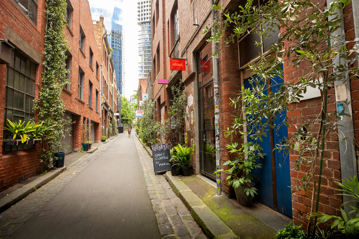 A city laneway filled with potted trees, creeping vines and indoor plants placed along the curb.