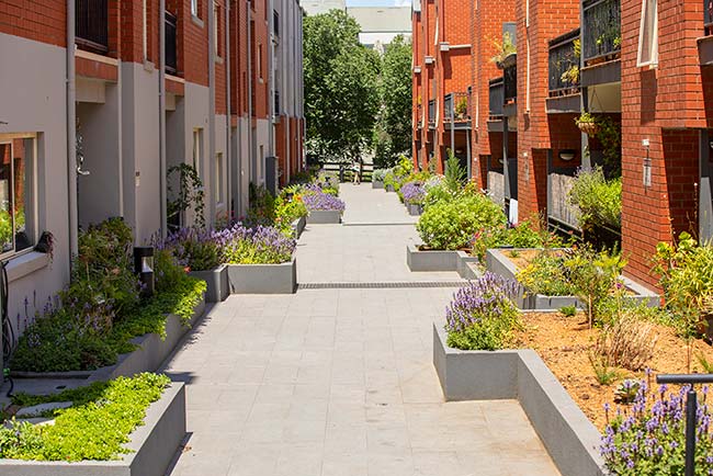 Walkway in the complex lined with new planter boxes
