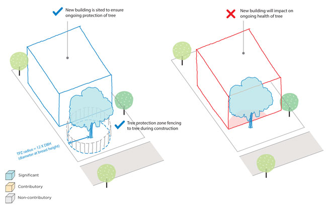 Diagram showing examples of (1) a new building that is sited to ensure ongoing protection of a tree, with tree protection zone fencing around the tree during contruction (TPZ radius = 12 x diameter at breast height); and (2) a new building that is too close to the tree so will impact the ongoing health of the tree.