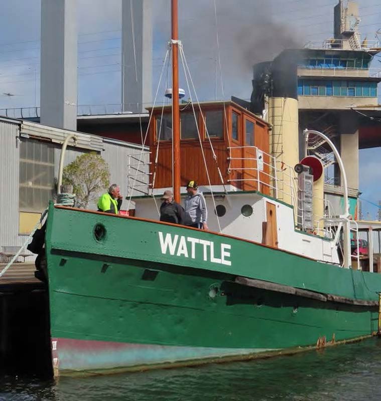 The Steam Tug Wattle