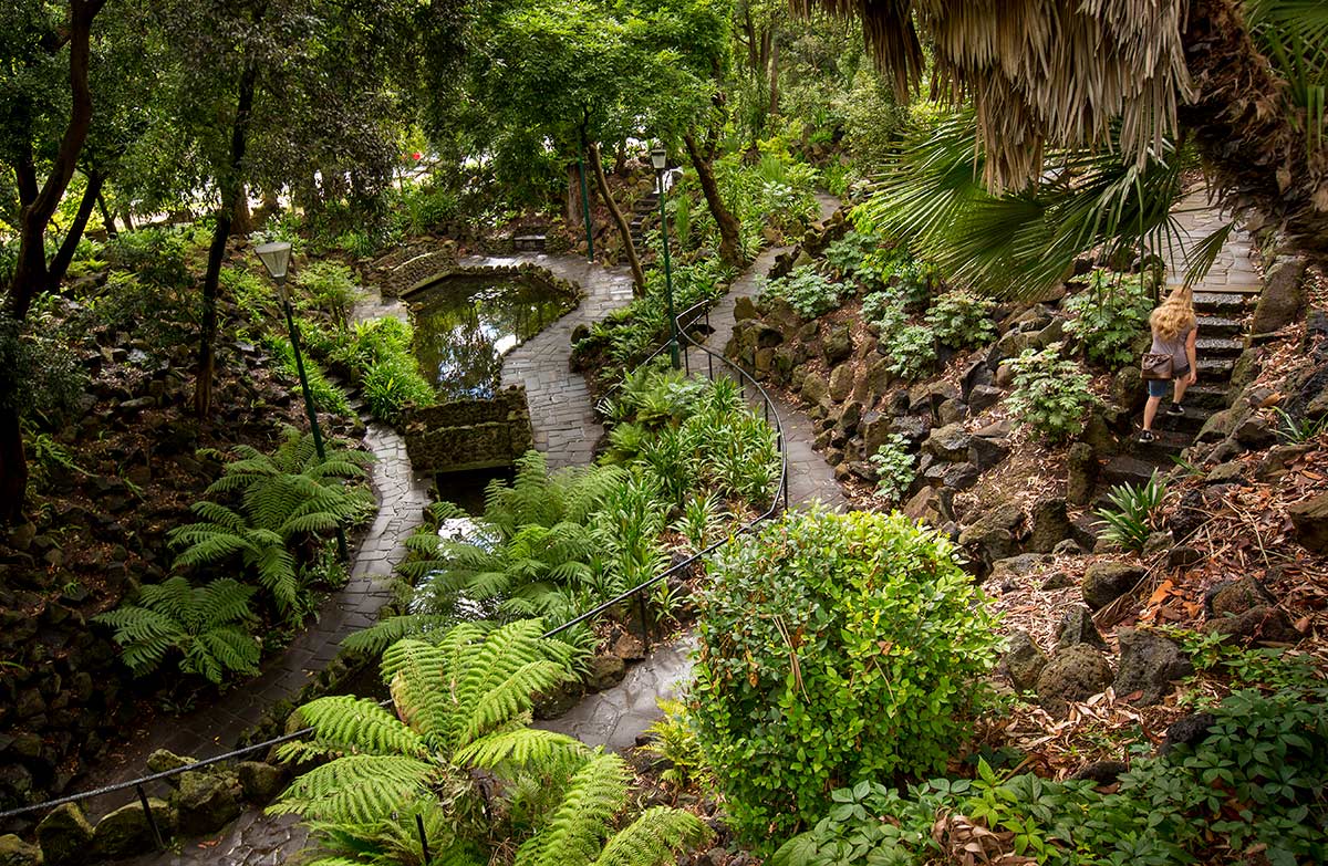 A shady gully with ferns and lush greenery. Steps and a winding pathway lead to a pond below with several bridges crossing the water.