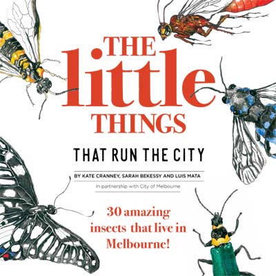 The Little Things that Run the City - front cover