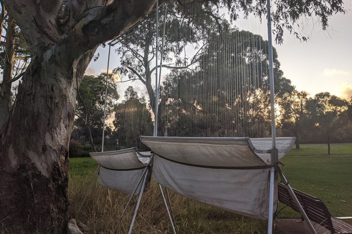 Microbat harp traps hanging from trees at Royal Park