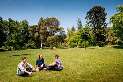 Three people sitting on a lawn in a park.