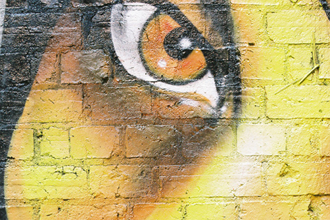 Painting of an eye, in yellows and browns, on a brick wall.